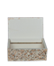 Camel bone box